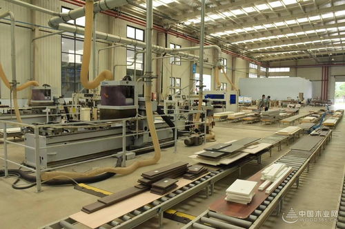 智能制造 融通未來 中國板材與定制家居大會探索環(huán)境工程新路徑