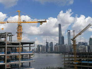 深化“放管服”改革優化營商環境視角下的工程建設項目審批——兼薦《工程項目建設程序（第二版）》